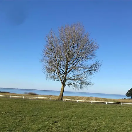 Charming Terraced House By The And Forest Bro (Funen)