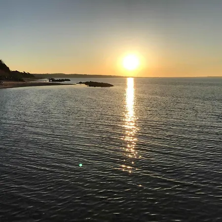 Charming Terraced House By The And Forest